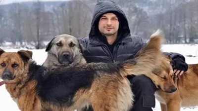 Tarkan'dan Belediyelere Büyük Tepki!: Öldürmek çözüm değil!