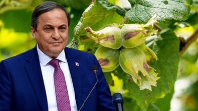 "Fındık Konusu Açıldığında Mangalda Kül Bırakmayan Yetkililer, Üç Kuruşluk Destekleri Bile Yatırmıyor"