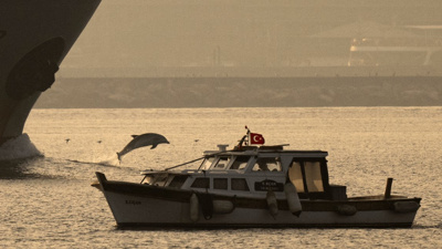 İstanbul Boğazı'nda Büyüleyici Manzara: Yunuslar Gemilere Eşlik Etti!