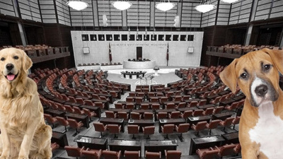 Hayvanseverlerden Çağrı: "Yasa Tasarısı Geri Çekilene Kadar Direneceğiz"