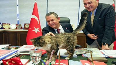 CHP'nin Kedisi Şero'dan İyi Haber