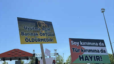 Hayvanseverler Yenikapı'da: "Hapsedemezsin, Öldüremezsin"