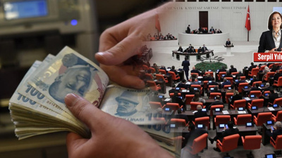 Vergi Paketi Dişin Kovuğunu Doldurmuyor