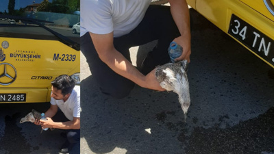 "İnsanlık Ölmemiş" Dedirten Görüntüler