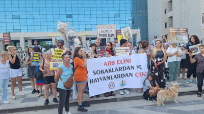 Hayvanseverlerden Ankara Büyükşehir Belediyesine tepki!