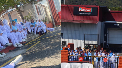 Bakanlık Polonez için sonunda harekete geçti!