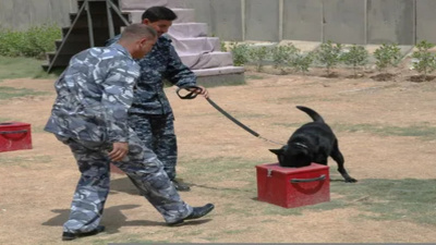 TİKA, Libya'da K-9 polis köpeklerinin eğitildiği barınağı yeniledi