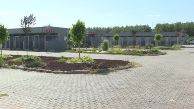 Sahiplenmek için barınaklara koştular
