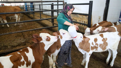 27 sene ev hanımıydı şimdi bir çiftliği var!
