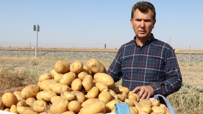 Mevsimler karıştı tarlada patates 4 liraya düştü