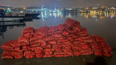 Eminönü'nde kaçak midye avlayan şüpheliye 26 bin lira ceza kesildi