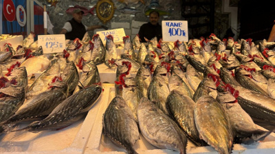 Balık tezgâhları el yakıyor: Palamut 125 barbun 250 çinekop 300 lira