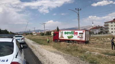 Bir arı tır şoförünü sokarak kocaman tırı devirdi