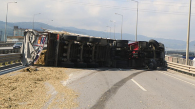 Küçücük bir arı kocaman TIR'ı devirdi