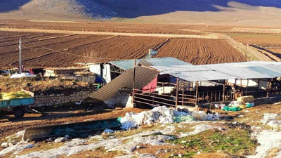 Fırtınada uçan çatı can aldı!