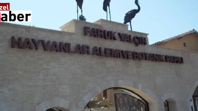 Darıca Hayvanat Bahçesi kapandı: 33 yıllık tesis miras kavgasına yenildi