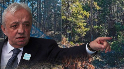 Cengiz'in Sinop'taki maden projesine onay çıktı: 224 bin ağaç kesilecek!