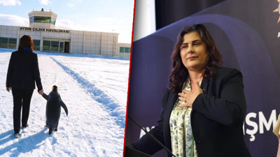 Penguen akımına katılan Çerçioğlu'nu pişman ettiler! Tepkilerin arkası kesilmedi