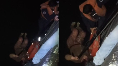 Seyhan Nehri'ne düşen kadın kurtarıldı