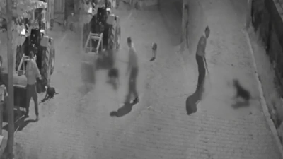 Köpeği demir çubukla öldüren cani tutuklandı!