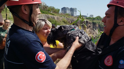 Kedinin peşinden gitti, falezlere uçtu: Minik köpek için dron havalandı