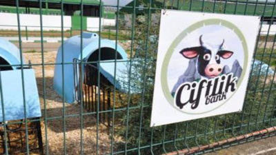 Çiftlik Bank davasında gerekçeli karar