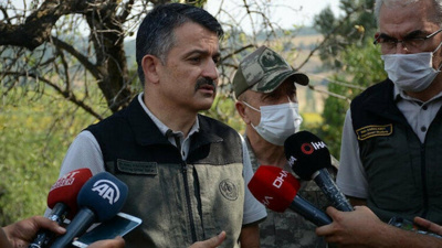 Bakan Pakdemirli: 14 orman yangınından 10'u kontrol altında, 1'i söndürüldü