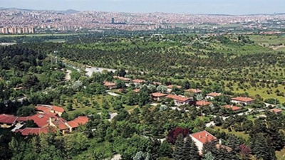 AOÇ’nin ‘kayıp’ şarapları sirke olmuş
