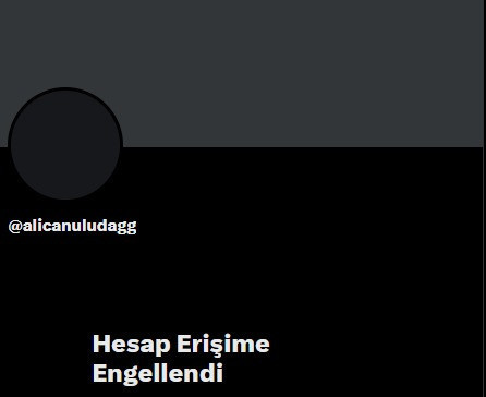 Gazeteci Alican Uludağ'ın sosyal medya hesabı erişime engellendi - Resim : 1
