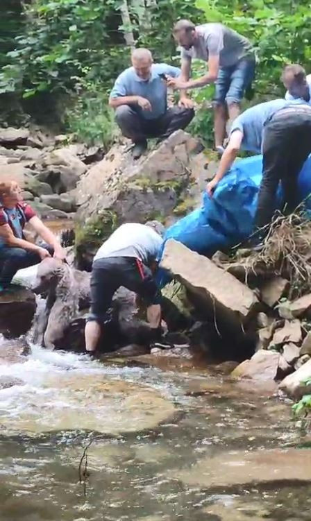 Derede mahsur kalan bozayıyı böyle kurtardılar! Mahalleli seferber oldu - Resim : 5