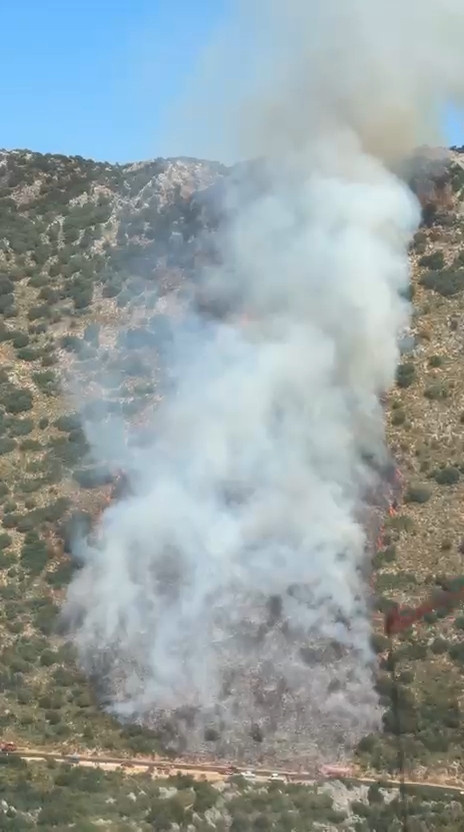 San dakika | Kabus bitmek bilmiyor! Antalya'da orman yangını çıktı - Resim : 1