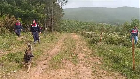 Korhan Berzeg'in Kafatası Aranıyor
