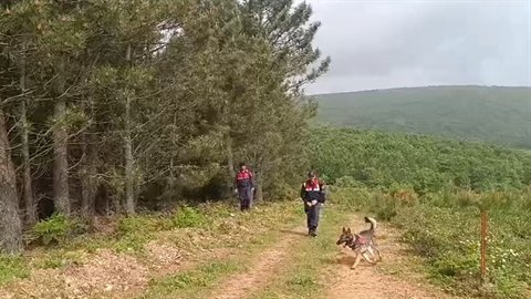 Korhan Berzeg'in Kafatası Aranıyor