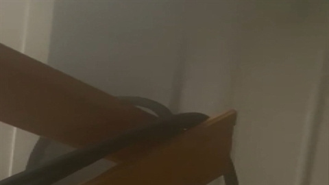 236733.jpg