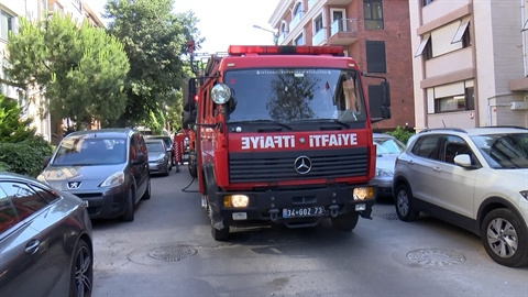 236740.jpg