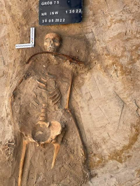 Boynuna orak koyup ayağını kilitlediler: 400 yıllık gizemli gömünün ardındaki gerçek - Resim : 2