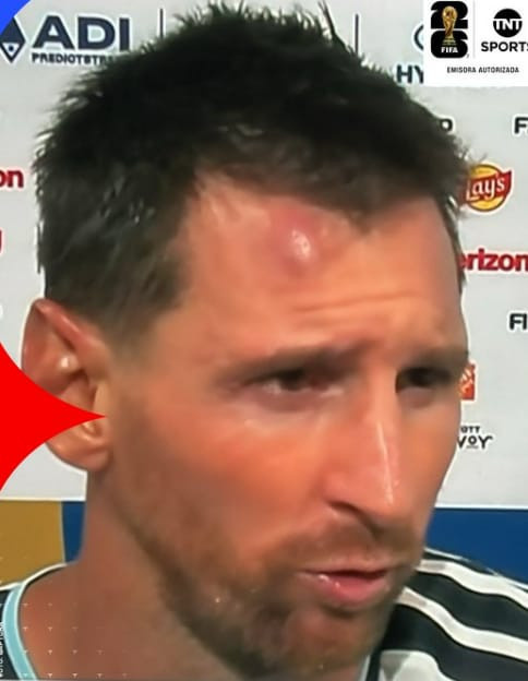 Başına gelene Messi de inanamadı: Kulaklıkla maçı izleyen tribündeki köpek de! - Resim : 2