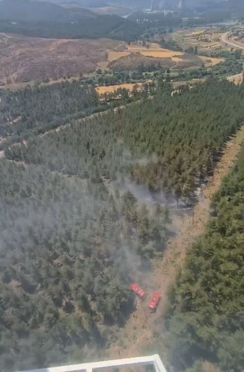 Bursa'da orman yangını! - Resim : 1