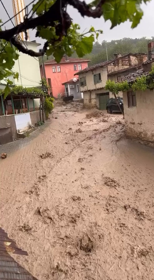 bursa