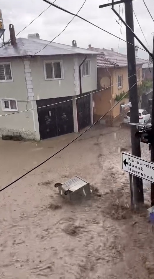 bursa
