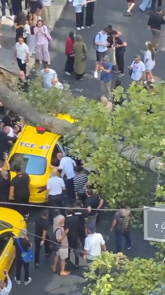Şişli’de ölümden döndüler! Devrilen ağaç 2 aracın üzerine düştü yol kapatıldı - Resim : 2