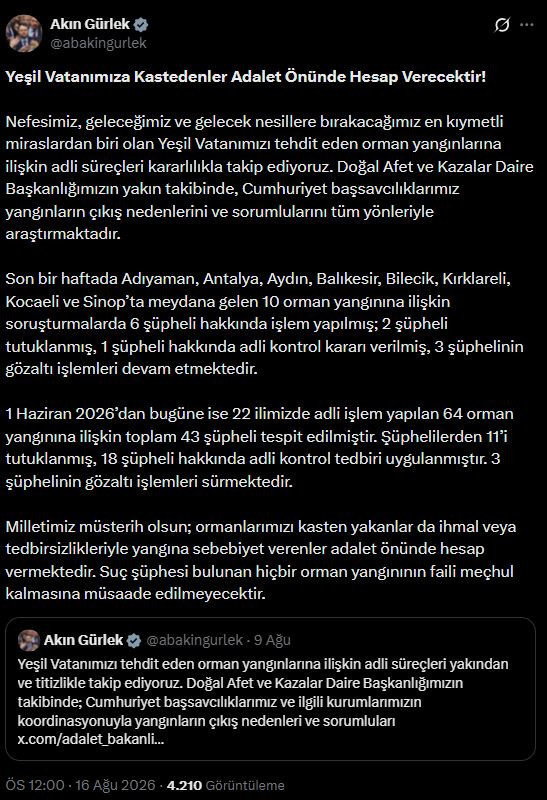 Son dakika | Orman yangınlarının bilançosu: 11 kişi tutuklandı - Resim : 2