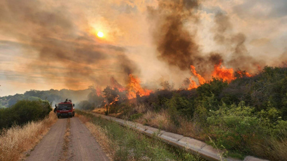 Çanakkale'de 2 gün boyunca uygulanacak! Valilikten hasat yasağı kararı