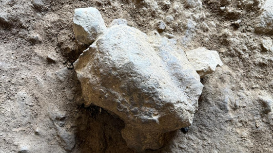 Bilecik'te 14 bin 500 yıllık 25 kaplumbağa heykelciği bulundu