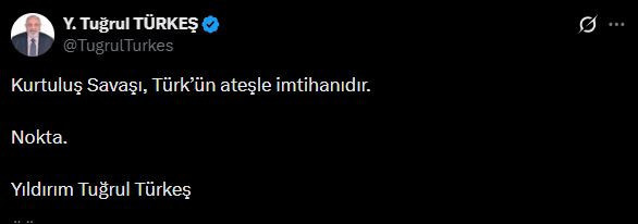 AKP'li Tuğrul Türkeş'ten Bakan Tekin'e tarih dersi: Adı Kurtuluş Savaşı'dır - Resim : 1