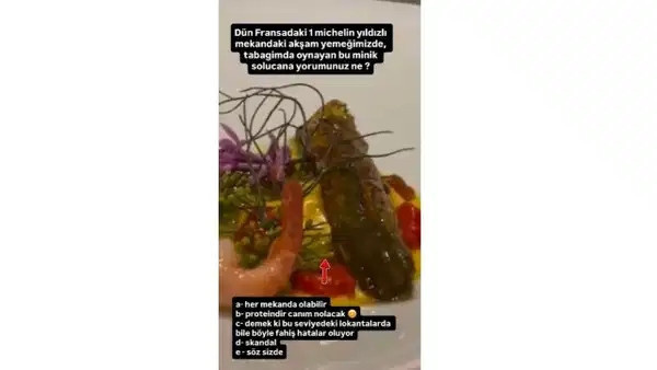 Arda Türkmen Michelin yıldızlı restoranda neye uğradığını şaşırdı! Tabağında hareket eden şeyi görünce... - Resim : 1