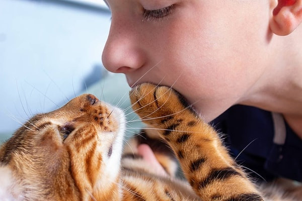 Kediceyi ne kadar biliyorsunuz? 4 soruluk testi çözün ve seviyenizi hemen öğrenin! - Fotoğraf: 8