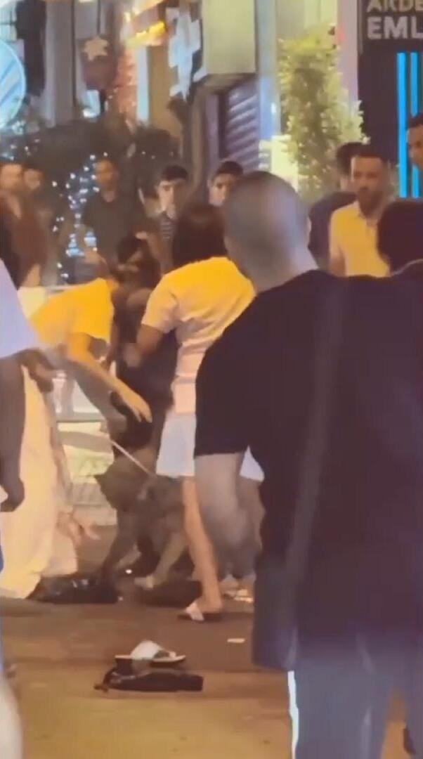 Beyoğlu'ndaki "Pitbull'unu tut" kavgasının görüntüleri ortaya çıktı! Birden fırlayıp zavallı köpeğe saldırdı - Resim : 9