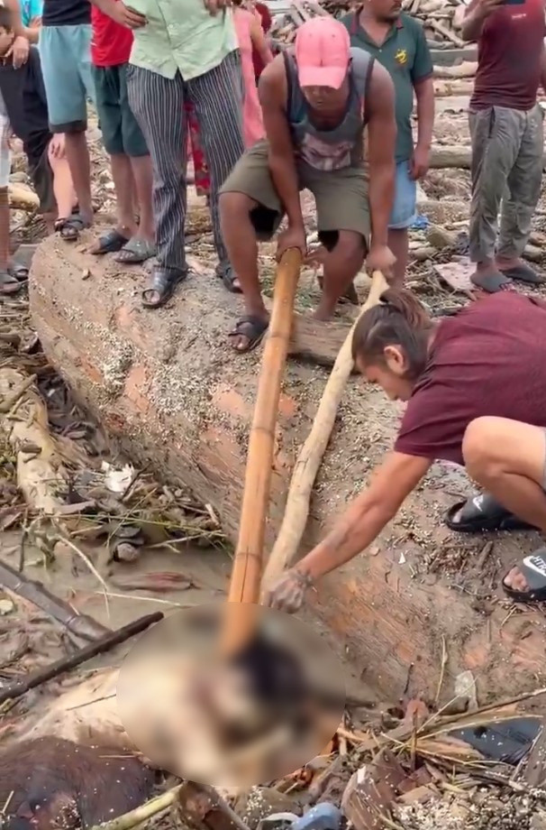Yüzyılın felaketiyle yıkılan Nepal'de korkulan oluyor! Ölü soygunculuğu başladı - Fotoğraf: 3