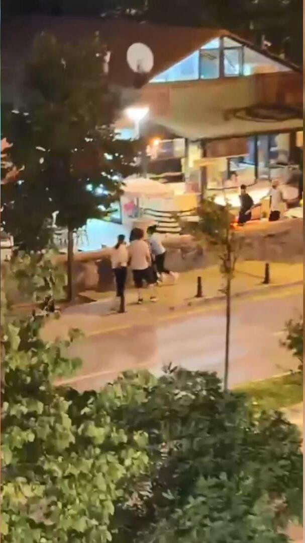 Milli Antrenör Funda Bakış'ın katledildiği kavganın görüntüsü çıktı - Resim : 3